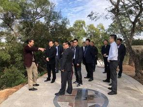 碣石镇爆料新闻,揭秘事件背后真相  第1张