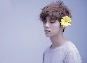 娱乐圈爆料赵丽颖王俊凯  第3张